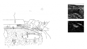 Luca CHANTEAU EMINENTI - studio mx